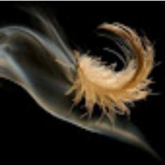 svetlanam4's profile picture. profesor računarstva i informatike