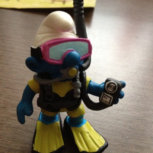 1fundiver's profile picture. 