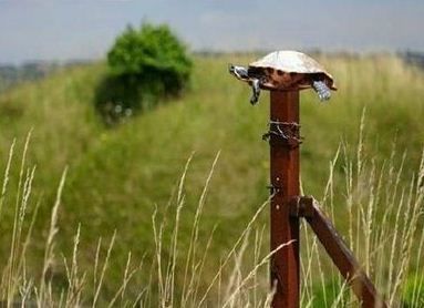 jorgeaguayo20's profile picture. 