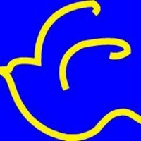 C.E.Xixell (@cexixell) 's Twitter Profile