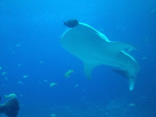 mickmaster247's profile picture. 