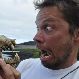 onelogic's profile picture. 