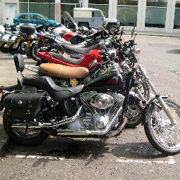 SteVenes57's profile picture. 