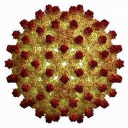 flirtingwithstd's profile picture. 