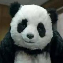 jaja si un panda te trollea debes de ser retrasado