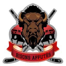 Club de supporters de l'équipe de hockey Les Bisons de Neuilly Sur Marne