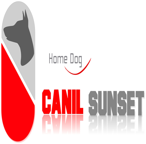 canilsunset's profile picture. 