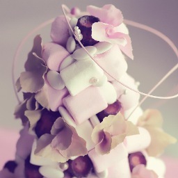 BonheurdUnJour's profile picture. Événementiel Bassin d'Arcachon
Organisation du premier Salon du Mariage de la réception & du Pacs Biganos...
Une Jolie réussite En route pour l'édition 2013!