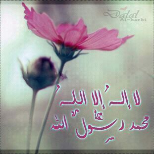 ‏‏*اللهم أرحم من أشتاقت نفسي إليه وهو تحت التراب *اللهم اغفر للمؤمنين والمؤمنات الأحياء منهم والأموات*.. وأرزقنا الفردوس الأعلى من الجنه ..