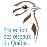 BPQ protects birds, their habitats, and advances knowledge of them. POQ œuvre dans la conservation des oiseaux, leurs habitats et à les connaître davantage.