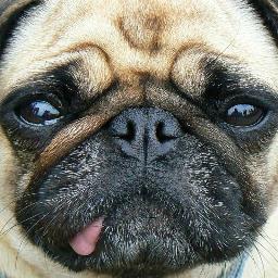 Lemgo67's profile picture. 