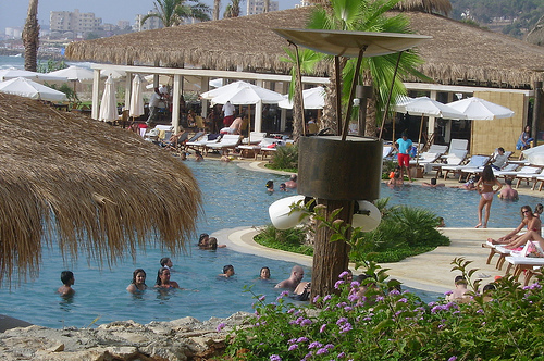 Monera_73's profile picture. النصف هو حياة لم تعشها، وهو كلمة لم تقلها،وهو ابتسامة أجّلتها،