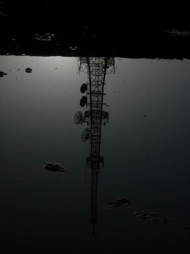 Dailyphoto1's profile picture. 