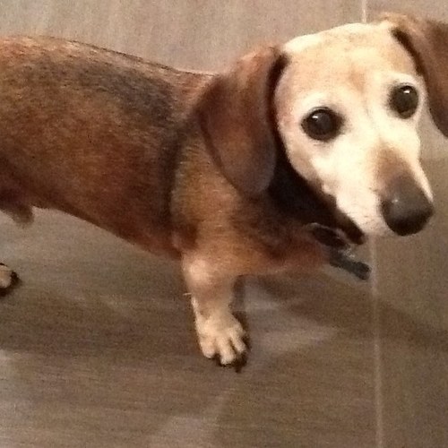 stumarr's profile picture. 