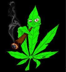 Don't smoke weed? Follow anyways for the dankest weed tweets! #StonerNation #Stillblazingtho #StayHigh