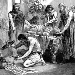 TheDarkTweets's profile picture. 