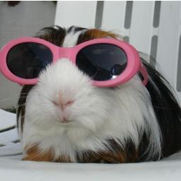 Make_own_rule's profile picture. http://t.co/Hac8992yJ7