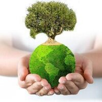 Revista Oleum Xauen (@oleumxauen) 's Twitter Profile Photo Revista Oleum Xauen (@oleumxauen) 's Twitter Profile Photo