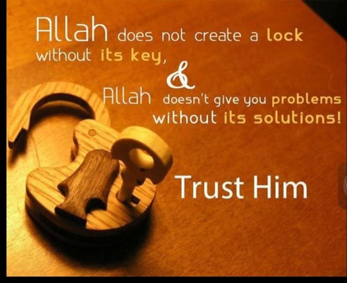 adz589's profile picture. 