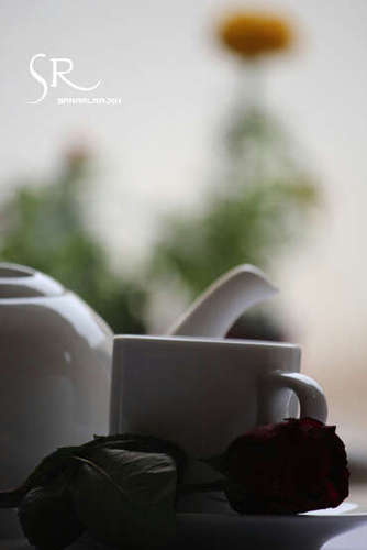 استغفر الله العظيم و اتوب اليه ♥