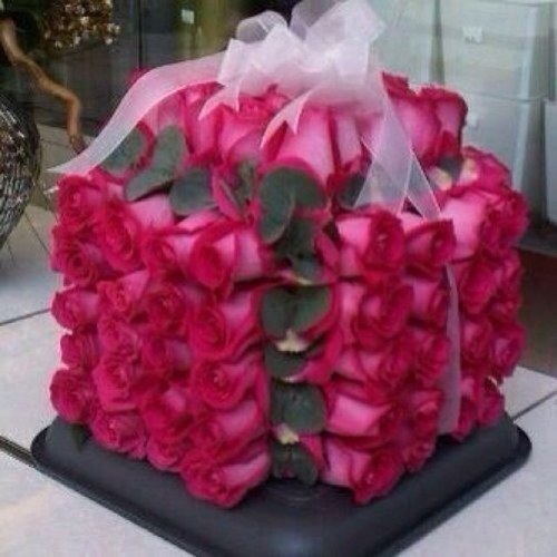 Hend_N1's profile picture. 