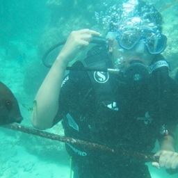 pandega_sw's profile picture. Missing a better life!