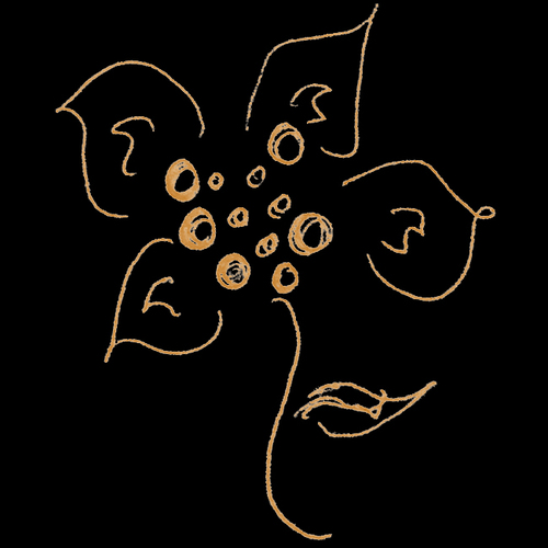 LuzMinerva1950's profile picture. Luz Minerva is a jewelry company since 1950, with inspiration in the Caribbean that for 3 generations has reinvented itself.