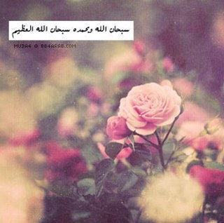 امــانــه لا يموت الحــب واشـواقــنـا حـيـه {{{