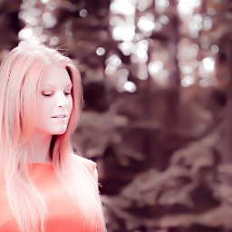 Freelance Photographer 
Join me on my FB page : http://t.co/uRsnQfov