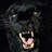ramesh_tgo's profile image
