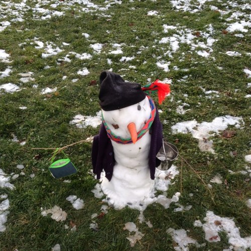 debshank3's profile picture. 