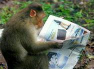 mwawughanga_'s profile picture. Someone got to write my bio for me, otherwise I'll write what I wish I were.