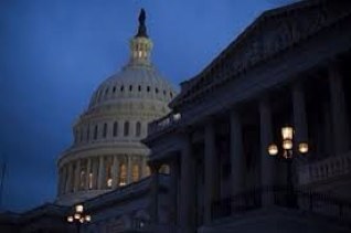 stopcronyism's profile picture. Shining a light on the swamp