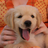 Aurea2009's profile image