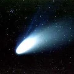 C2011L4's profile picture. 