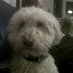 Stephen Shaw (@stephenshaw3) Twitter profile photo