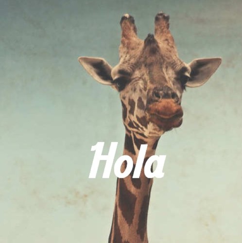 EllaEsAstrid's profile picture. Síganme en @AstridAglr