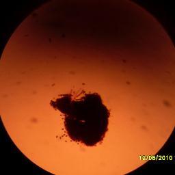 ylzctk's profile picture. 