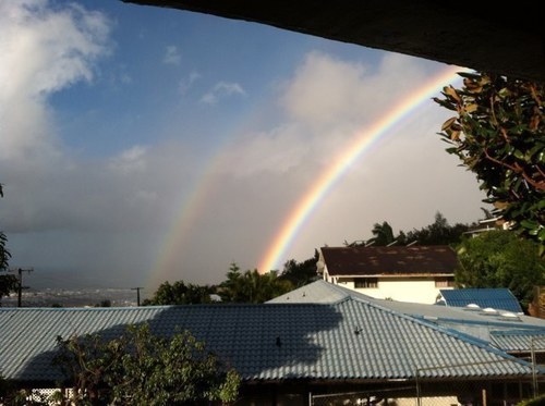 MetaEngineering's profile picture. 50 years of Geotechnical experience keeping Hawaii's buildings stable and beautiful. Tweets NOT authored by an actual engineer. I'm just a hard-working  intern.