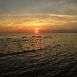 caori11's profile picture. 