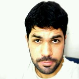 luizlpm Profile Picture