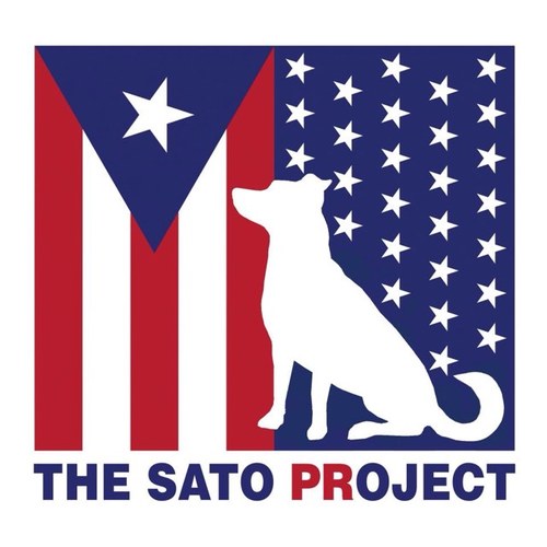 The Sato Project is dedicated to rescuing abandoned & abused dogs from PR 🇵🇷 #SatoStrong