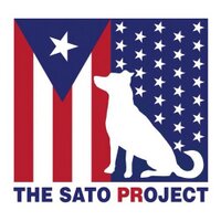 TheSatoProject(@TheSatoProject) 's Twitter Profile Photo