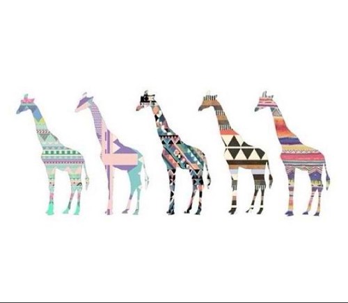 Giraffr3's profile picture. 