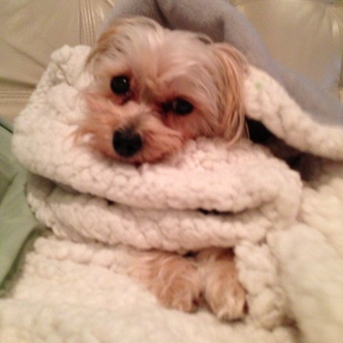 cirkjunk's profile picture. 