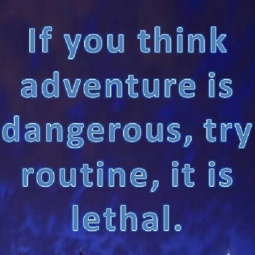 PassportAZ's profile picture. 