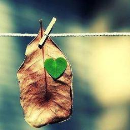 ayman_m92's profile picture. أنا الذي عاهدني خليلي ... ... ونحن بالسفح لدى النخيل ... أَلا أقوم الدهر في الكيول ... ... أضرب بسيف الله والرسول ..