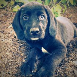 PeterKopp's profile picture. a boat