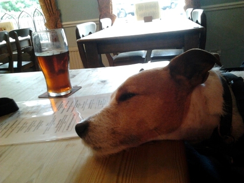 BaldersLiz's profile picture. Brizzle..........................nature lover