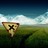 newjerseyplus's profile image